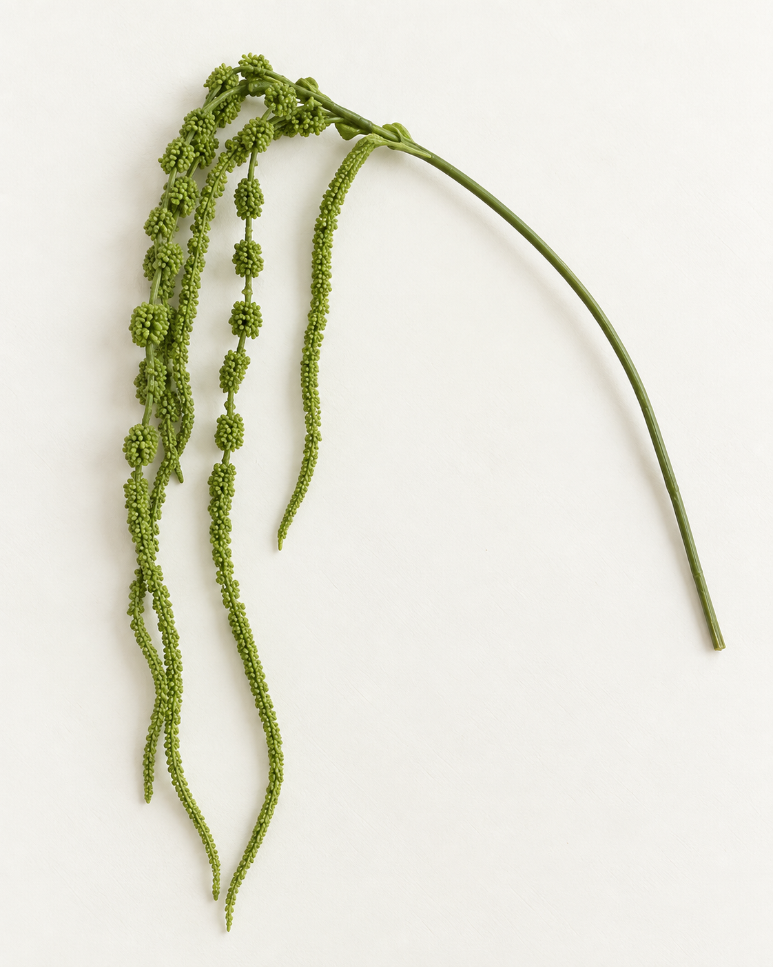 Amaranthus · grøn – enkelt kunstig stilk