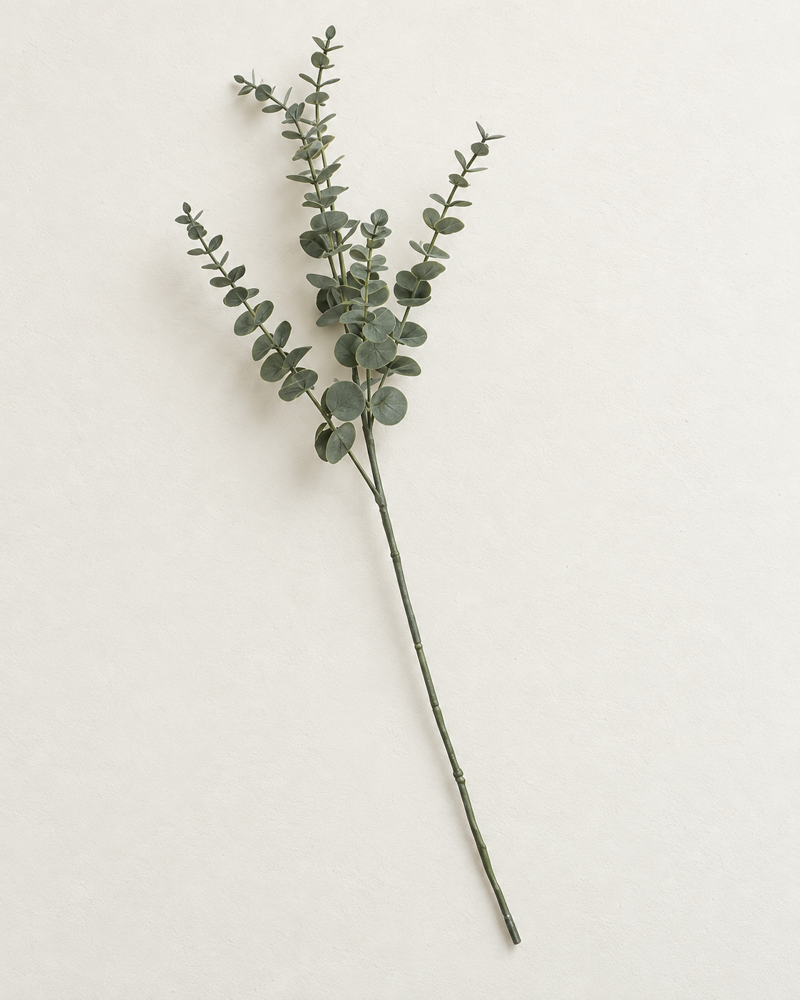 Eucalyptus · grøn – enkelt kunstig stilk