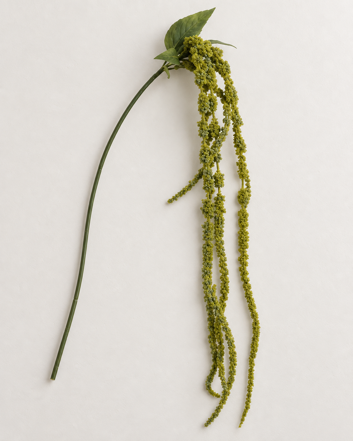 Amaranthus · fine grønne ranker – enkelt kunstig stilk